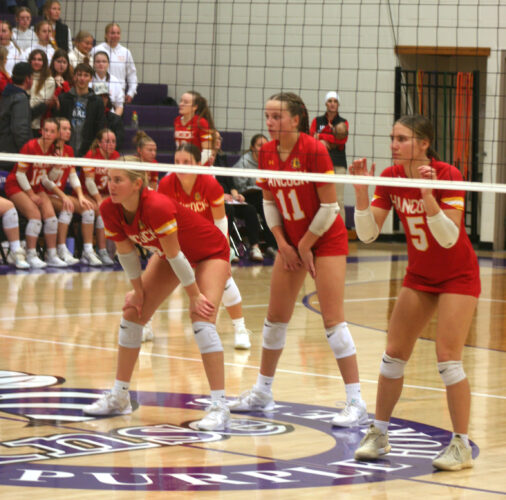 Bulldogs volleyball season ends with loss to Trojans